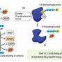 Lý Thuyết Sinh 10 Kết Nối Tri Thức Bài 2