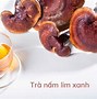 Nấm Lim Xanh Có Tác Dụng Gì